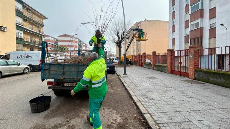 Andújar refuerza el mantenimiento del arbolado urbano en distintos puntos de la ciudad