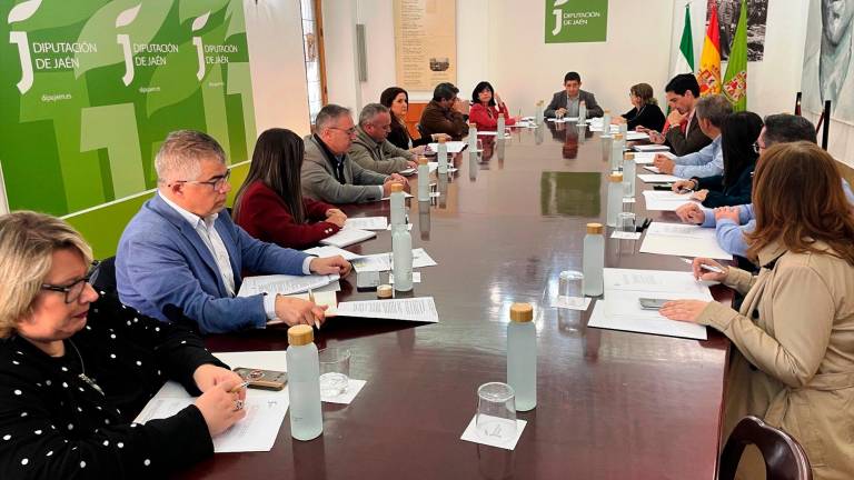Reunión de la junta asesora del Consejo de Alcaldes y Alcaldesas de la provincia de Jaén. / Diputación de Jaén.