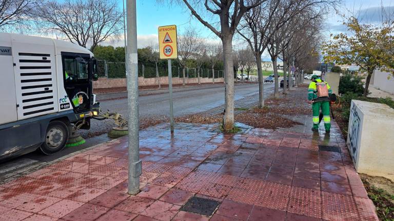 El PP de la capital demanda la retirada de hojas de la vía pública para evitar riesgos