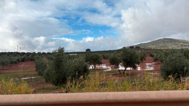 La borrasca Claudia se marcha dejando casi 72 litros de media en Jaén