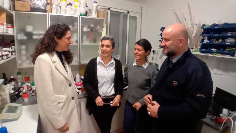 Ayudas para contrataciones indefinidas en pymes y autónomos en Jaén