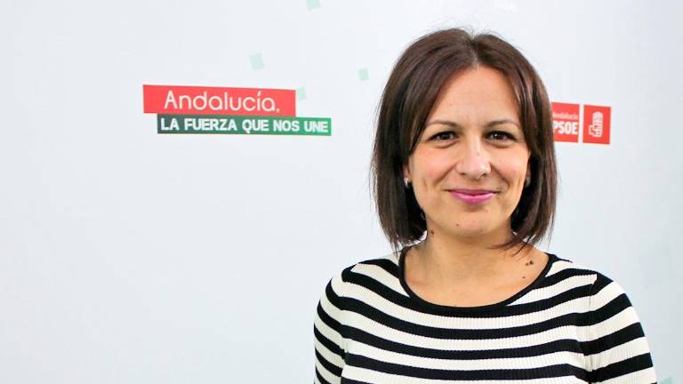 El PSOE lamenta que el PP siga “desquiciado” por el regreso de Millán a la Alcaldía