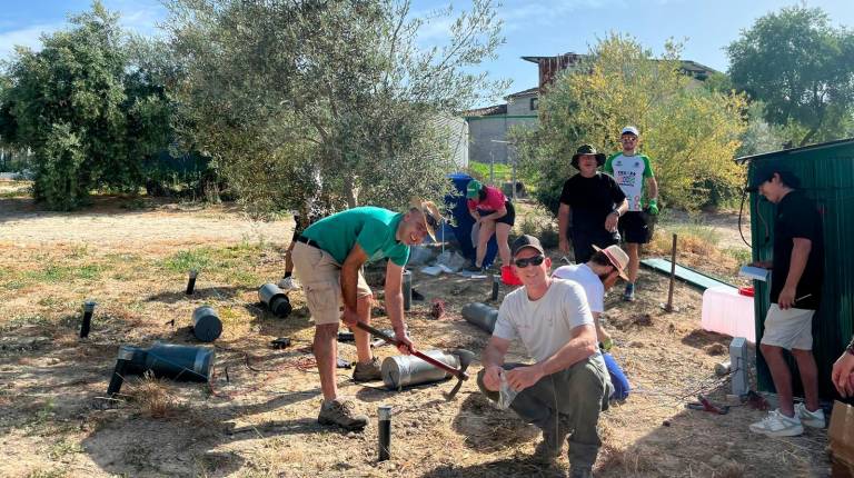 <i>Ensayos para eliminar pesticidas orgánicos y recuperar el cobre en suelos de olivar. / Proyecto Soil O-Live.</i>