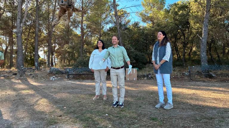 <i>Suelta del búho real, con Erik Domínguez, Ana Belén Mata y María del Mar Dávila, junto a los técnicos en el monte Peña del Águila. / Junta de Andalucía.</i>