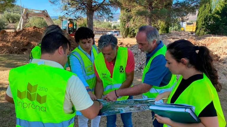 Bulevar Ifeja-Vestida: Comienza el trasplante de árboles