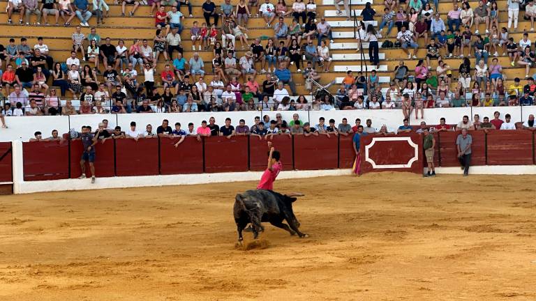 Una tarde de deleite para amantes de la tauromaquia en Villanueva del Arzobispo