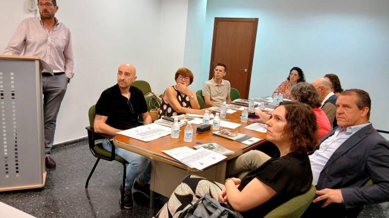 <i>Ana Mata, en la Comisión Provincial de Prevención de Riesgos Laborales. / Junta de Andalucía.</i>