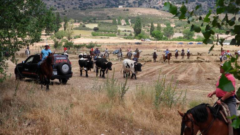 “La Verea” que abre el curso de encierros de toda Segura