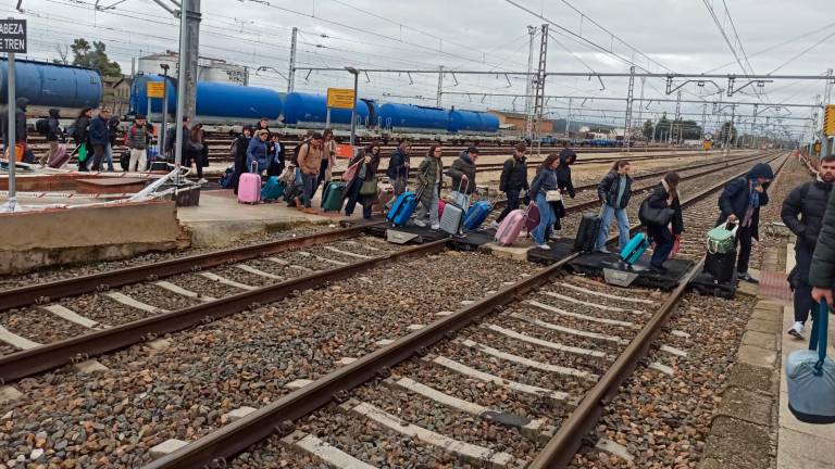 Interrupción de la circulación en tren por la caída de un árbol en la Estación Linares-Baeza