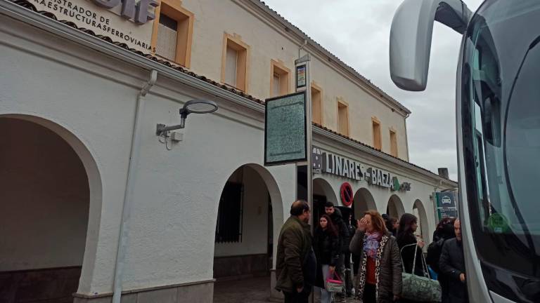 Interrupción de la circulación en tren por la caída de un árbol en la Estación Linares-Baeza