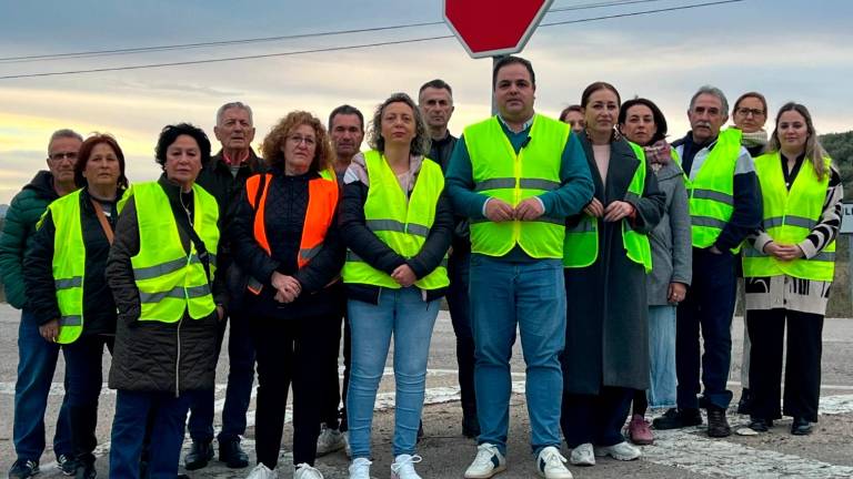 El PSOE exige a la Junta el arreglo integral de la A-6204