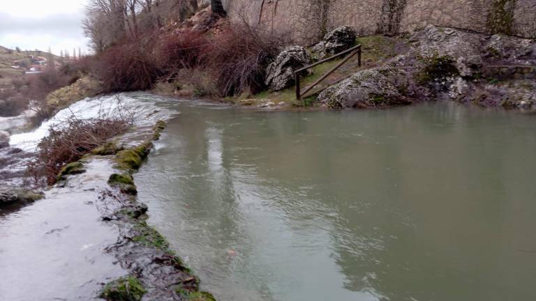 El agua brota con fuerza en el nacimiento del río Segura
