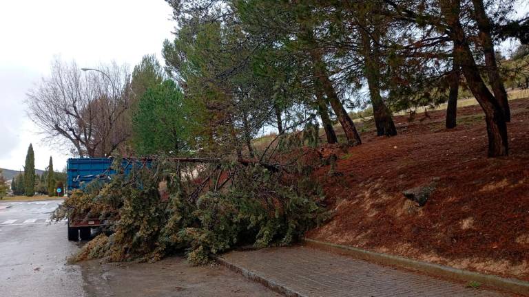Múltiples incidencias por el temporal en Alcalá la Real