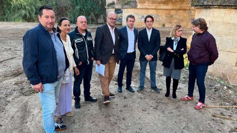 Limpieza, desbroce y retirada de vegetación en el Puente Nuevo