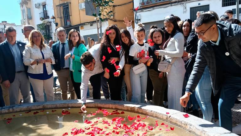 Jaén reconoce la aportación cultural, histórica y social del pueblo gitano
