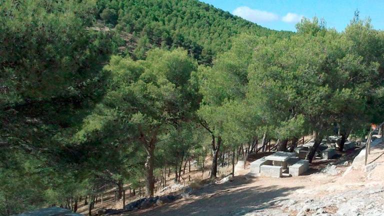 Concluye la época de peligro alto de incendios forestales