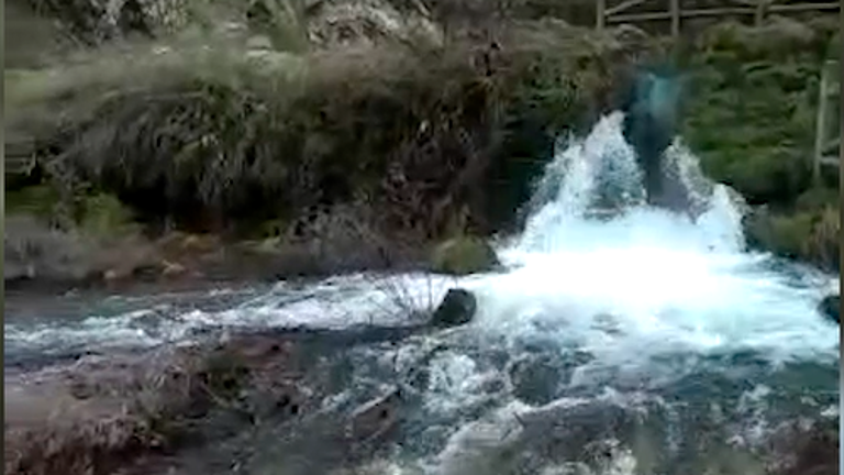 El agua brota con fuerza en el nacimiento del río Segura