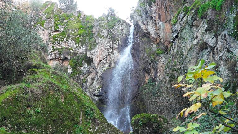 Lugares singulares, únicos, maravillosos y fresquitos: Salto del Gallo, la dehesa de Andújar