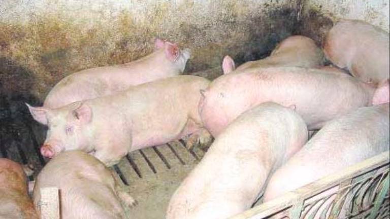 Tal día como hoy en 2004: Firmas contra el olor de la planta de purín de Vilches