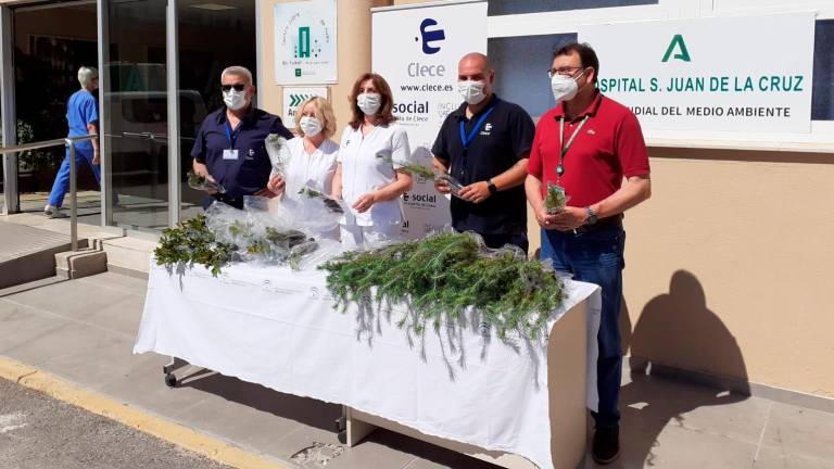 El Hospital de Úbeda reparte 2.000 plantas para conmemorar el Día del Medio Ambiente