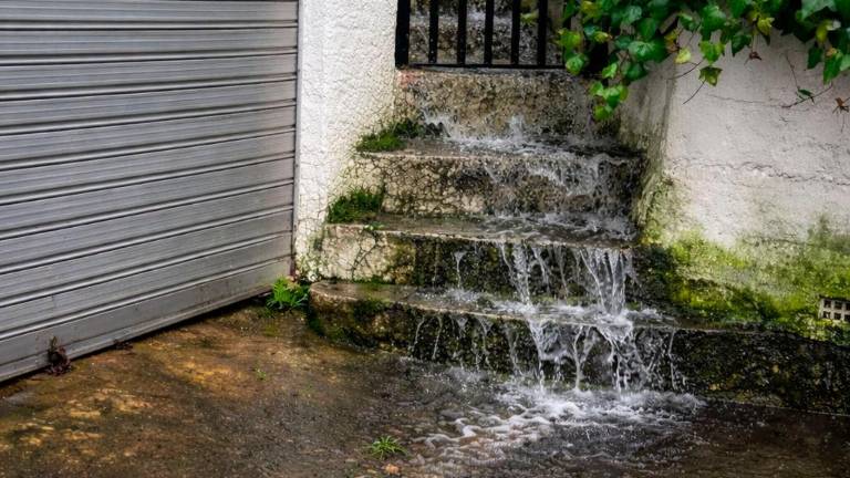 Hacía 30 años que no pasaba: Se desborda el manantial bajo Cañada Morales