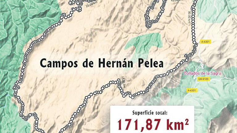 El origen de Hernán Pelea