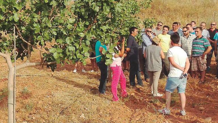 Fiable apuesta diversificadora