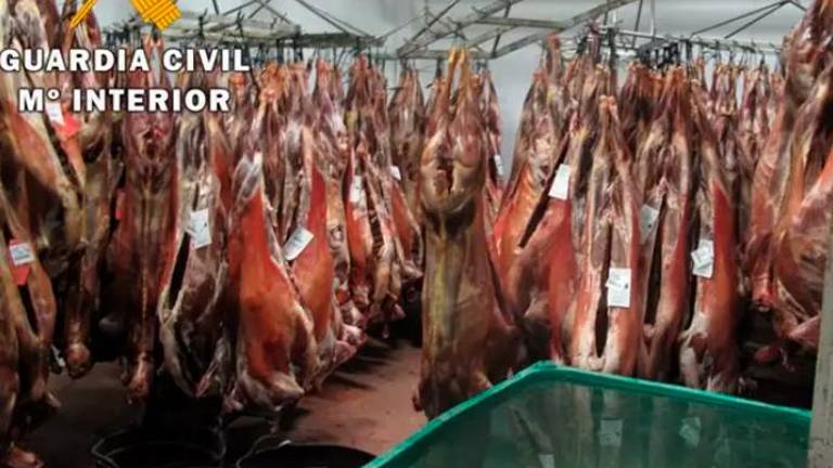Inmovilizan 270 piezas de ovino y caprino en un matadero de Jaén sin autorización