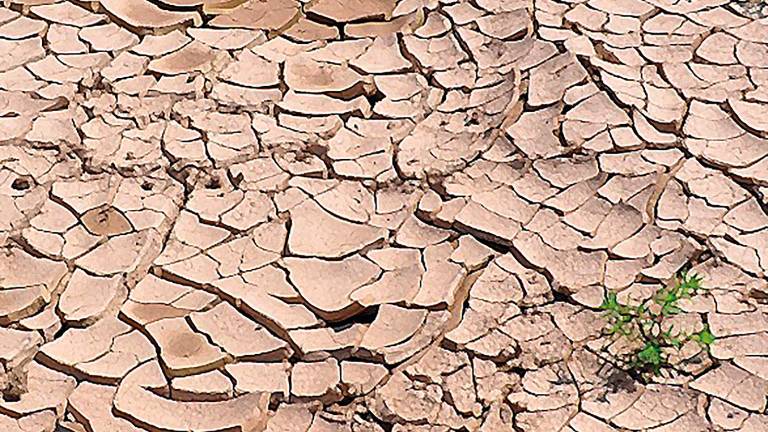 Cambio climático