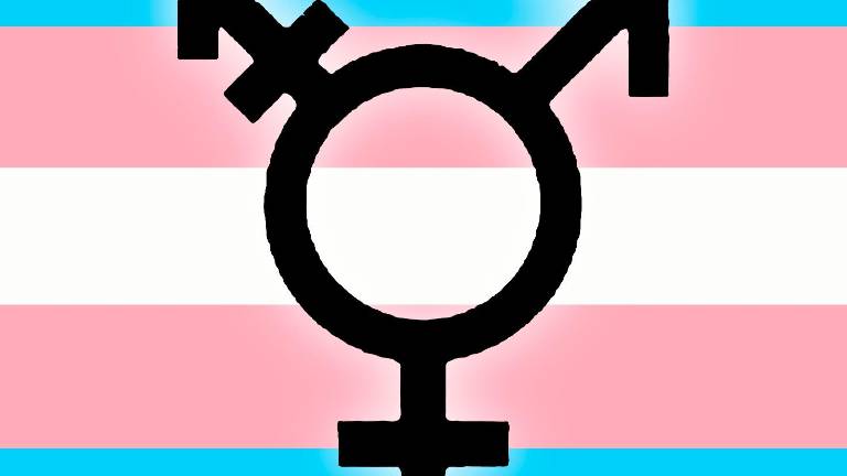 Sobre la Ley Trans