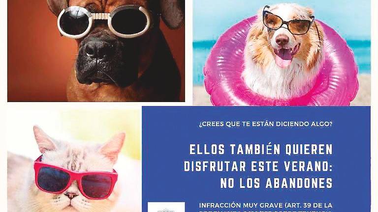 Campaña del Ayuntamiento contra el abandono animal