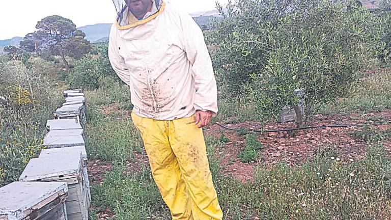 La primavera trae una gran esperanza para los apicultores