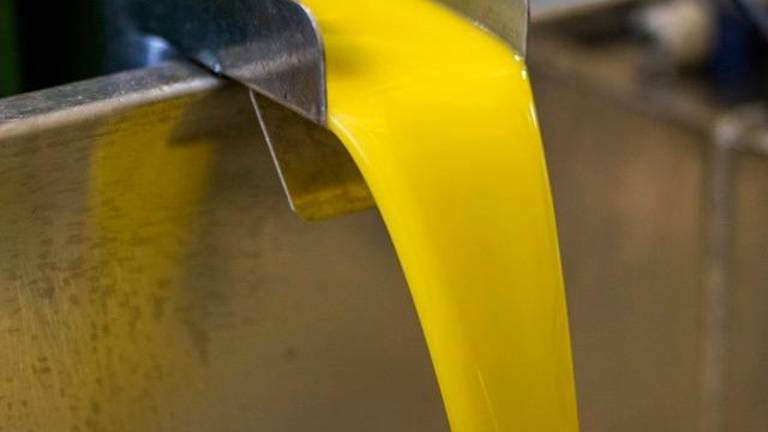 Se confirma lo esperado: La producción de aceite de oliva se situará un 9% por debajo de la campaña anterior