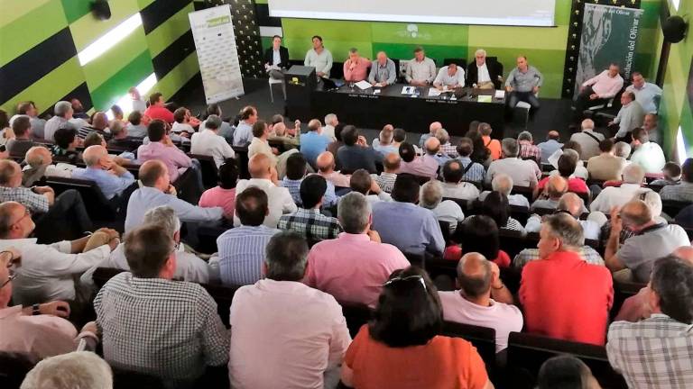 Más de 200 oleicultores en el Consejo Sectorial de Cooperativas Agro-alimentarias