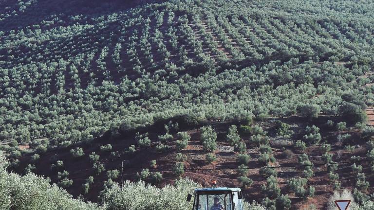 España condicionará ayudas de la PAC a empleos