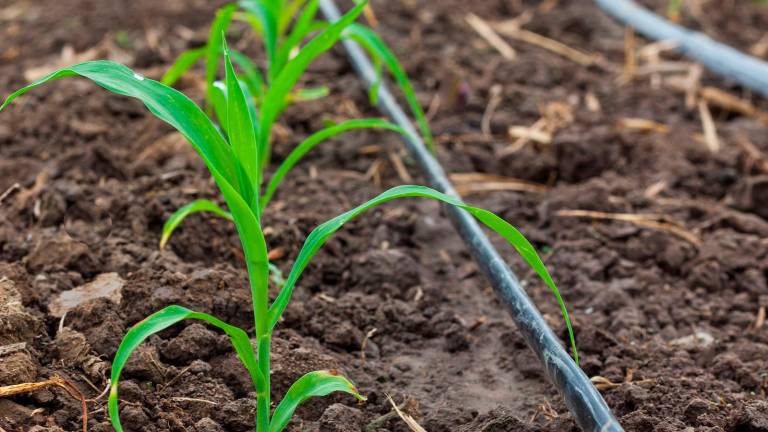 Respaldo a 18 iniciativas para reducir la dependencia energética del regadío