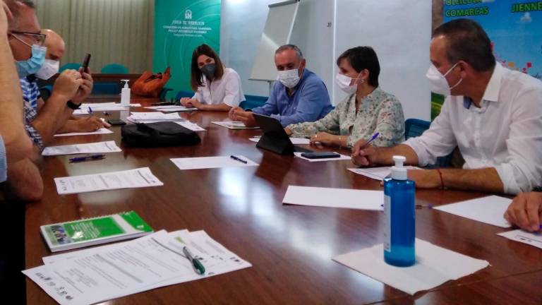 La Junta impulsa el oleoturismo para hacer más sostenible el olivar en las comarcas jiennenses