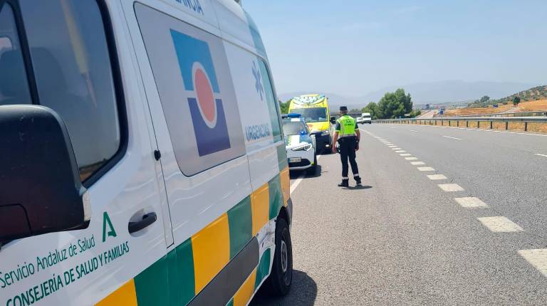 <i>Los servicios de emergencias, en el lugar del accidente. </i>