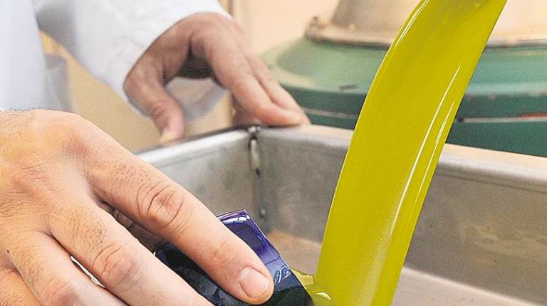 ORO LÍQUIDO. <i>Un operario recoge una muestra de aceite de oliva.</i>
