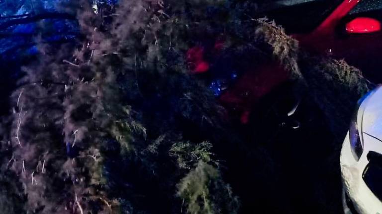 Las rachas de viento en Jaén alcanzan los 108 kilómetros por hora