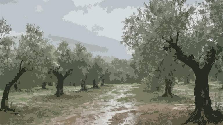 Relaciones en piloto automático