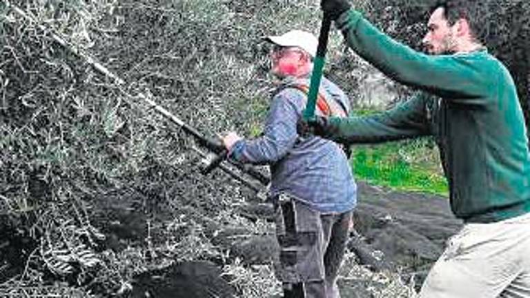 Los trabajadores peor pagados son los jiennenses, según la Agencia Tributaria