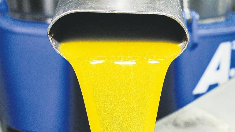 Récord de producción con la apuesta por los aceites tempranos