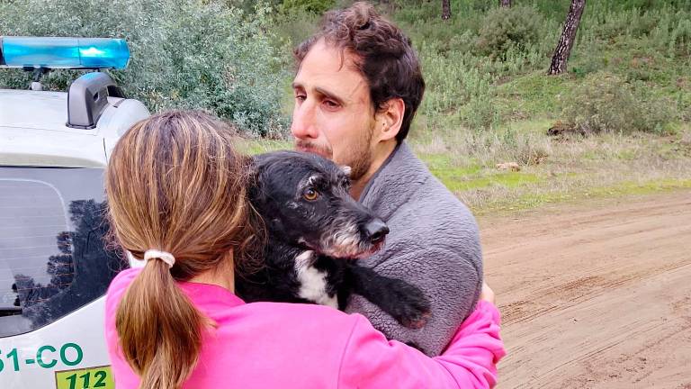 Capturan con vida a Boro, el perro extraviado tras el accidente de Adamuz
