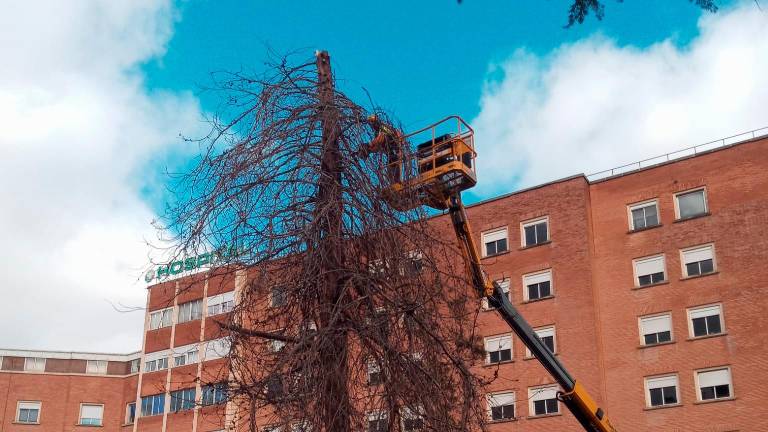 Clece: Profesionales que marcan las diferencias