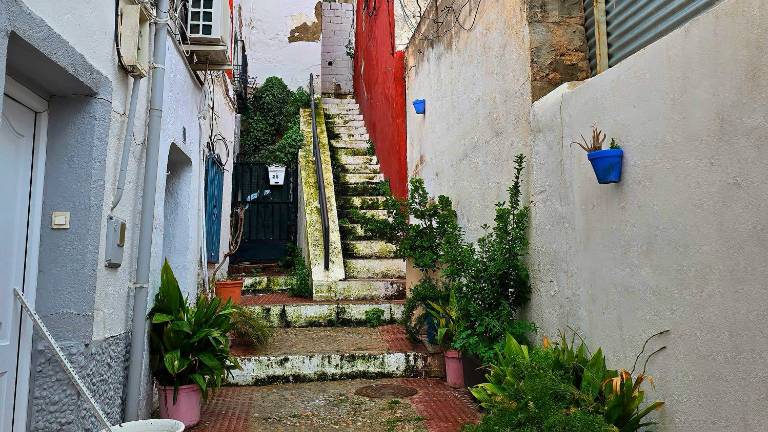 Los cármenes de la calle Vicario: Diseño de jardín urbano en el casco antiguo de Jaén