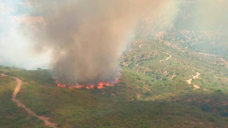 Declarado un incendio forestal en El Encinarejo