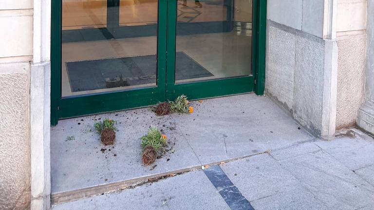 Destrozos en adornos florales del Paseo de la Estación