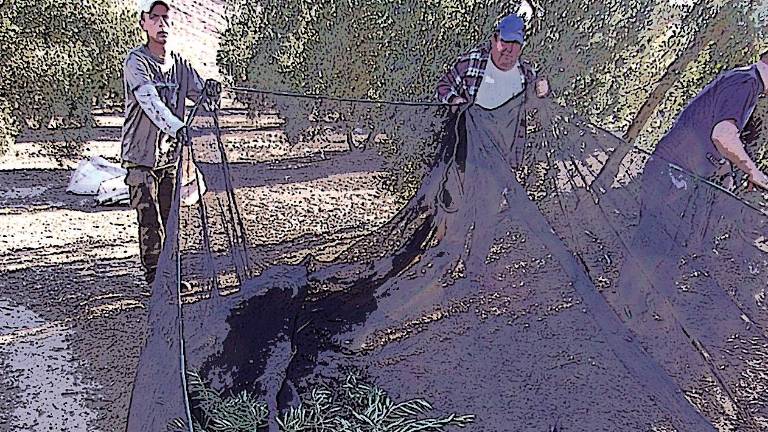 Más población con actividad