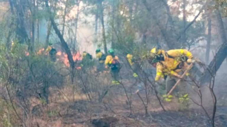 <i>El Plan Infoca trabaja para sofocar el fuego por completo. / Plan Infoca. </i>